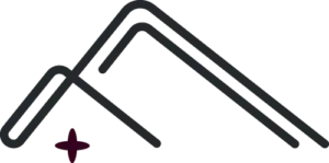 felicity nannies secondary logo rgb charcoal plum